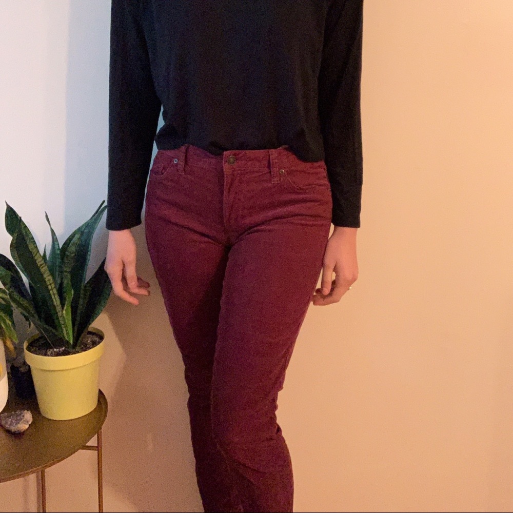 Tommy Hilfiger corduroyed maroon pants